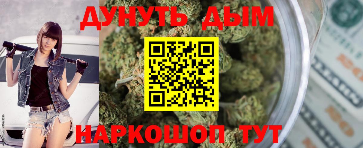Каннабис планчик Лянтор